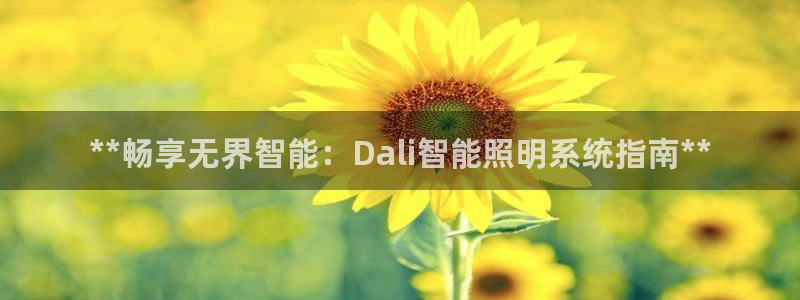**畅享无界智能：Dali智能照明系统指南**
