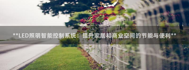 **LED照明智能控制系统:提升家居和商业空间的节能与便利**