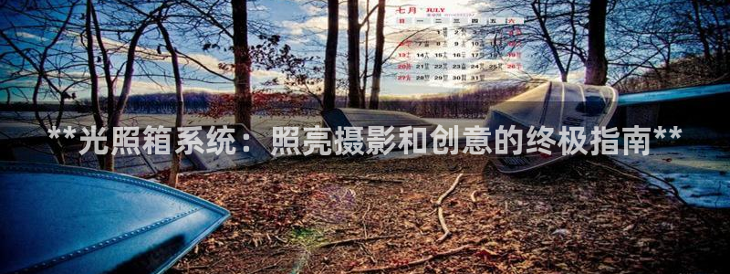 **光照箱系统：照亮摄影和创意的终极指南**