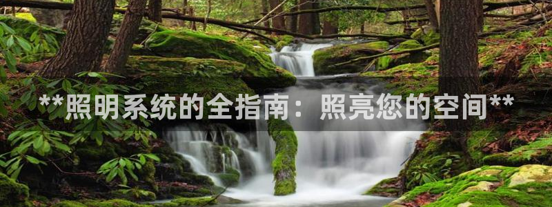 **照明系统的全指南：照亮您的空间**