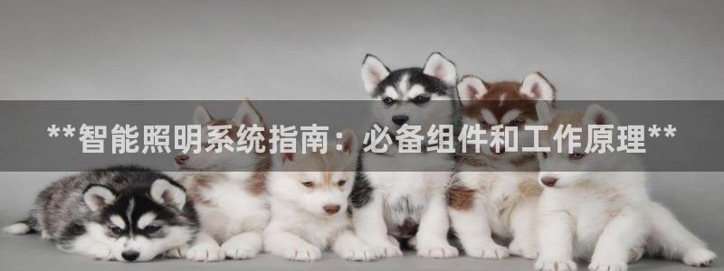 **智能照明系统指南：必备组件和工作原理**