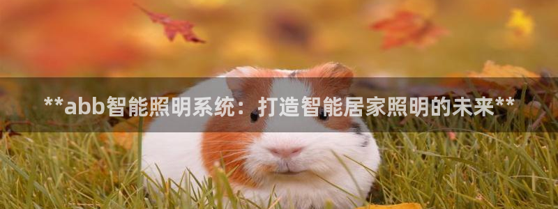 **abb智能照明系统：打造智能居家照明的未来**