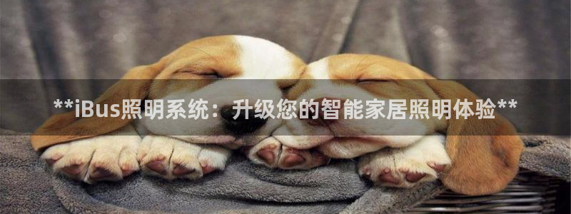 **iBus照明系统：升级您的智能家居照明体验**