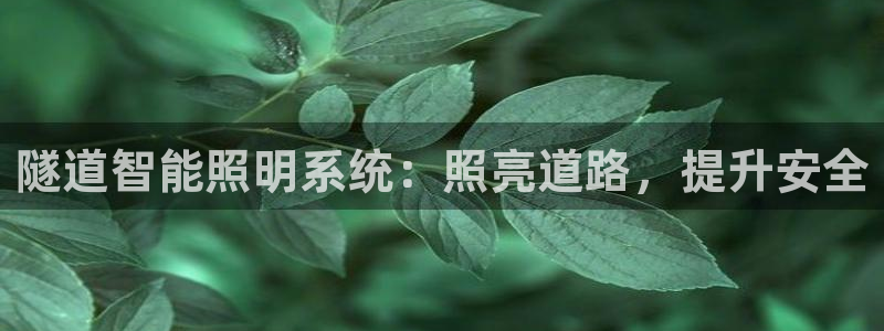 隧道智能照明系统：照亮道路，提升安全