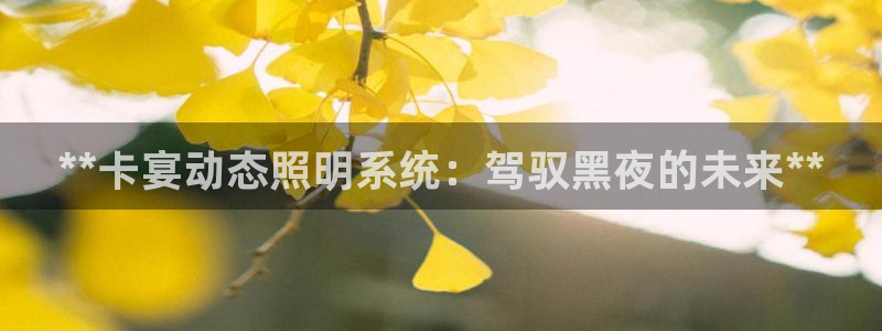 **卡宴动态照明系统：驾驭黑夜的未来**