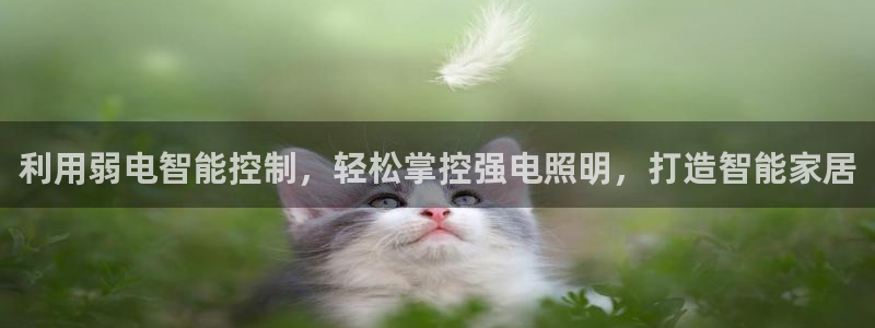 利用弱电智能控制，轻松掌控强电照明，打造智能家居