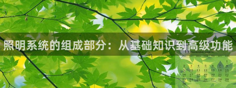 照明系统的组成部分：从基础知识到高级功能