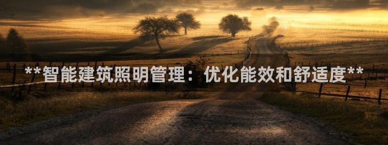 **智能建筑照明管理：优化能效和舒适度**