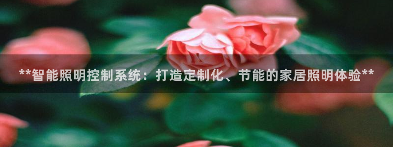 **智能照明控制系统：打造定制化、节能的家居照明体验**
