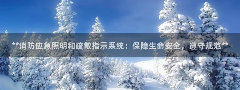 **消防应急照明和疏散指示系统：保障生命安全，遵守规范**