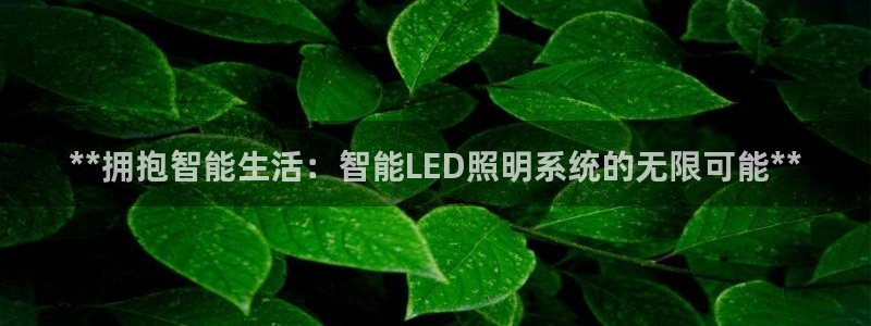 **拥抱智能生活：智能LED照明系统的无限可能**