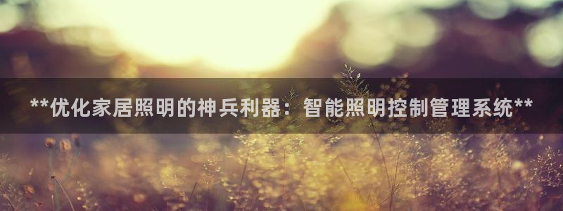 **优化家居照明的神兵利器：智能照明控制管理系统**