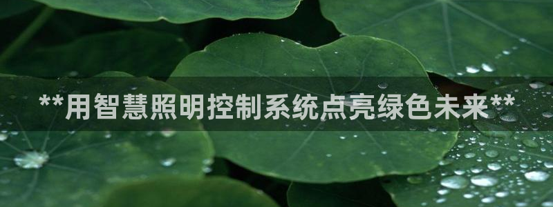 **用智慧照明控制系统点亮绿色未来**