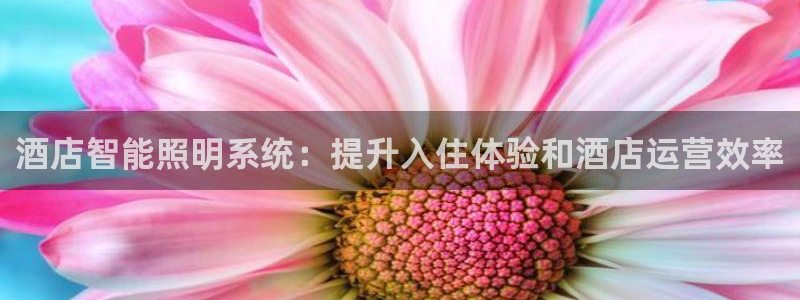 酒店智能照明系统：提升入住体验和酒店运营效率