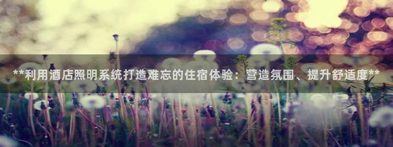 **利用酒店照明系统打造难忘的住宿体验:营造氛围、提升舒适度**