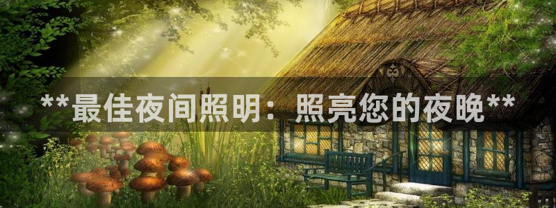 **最佳夜间照明：照亮您的夜晚**