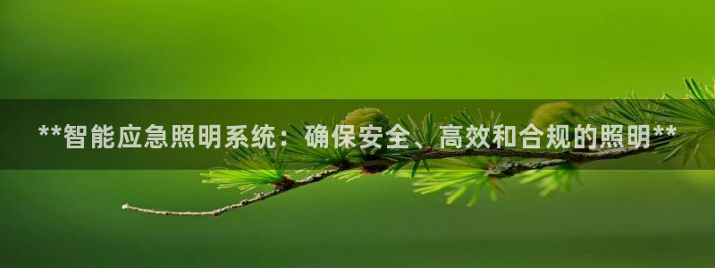 **智能应急照明系统：确保安全、高效和合规的照明**