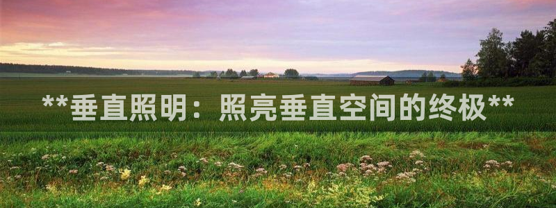 **垂直照明：照亮垂直空间的终极**