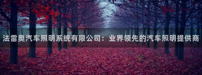 法雷奥汽车照明系统有限公司:业界领先的汽车照明提供商