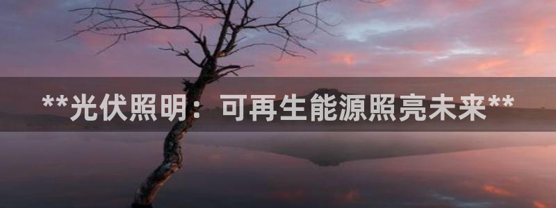 **光伏照明：可再生能源照亮未来**