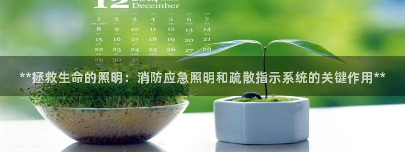 **拯救生命的照明：消防应急照明和疏散指示系统的关键作用**