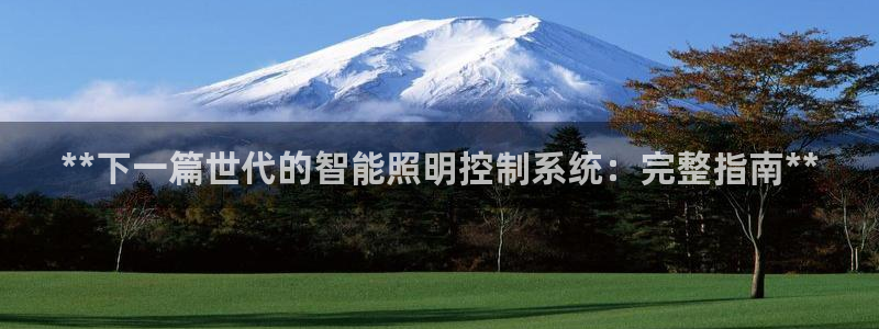 **下一篇世代的智能照明控制系统：完整指南**