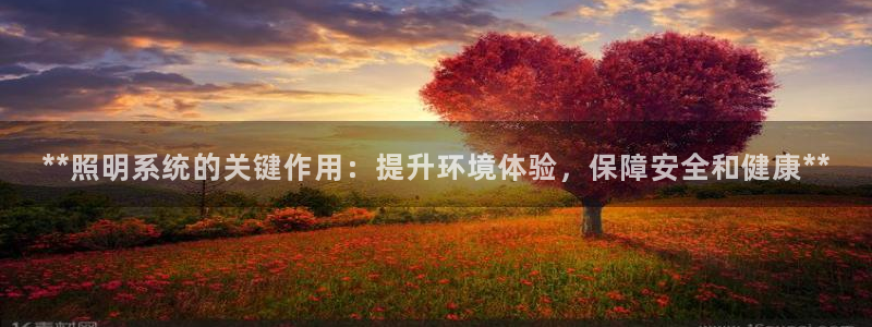 **照明系统的关键作用:提升环境体验,保障安全和健康**