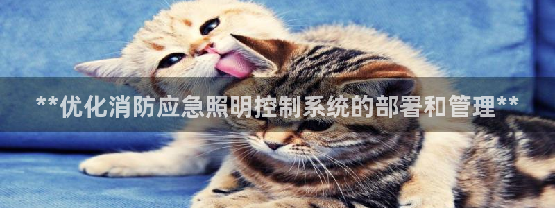 **优化消防应急照明控制系统的部署和管理**