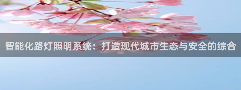 智能化路灯照明系统:打造现代城市生态与安全的综合