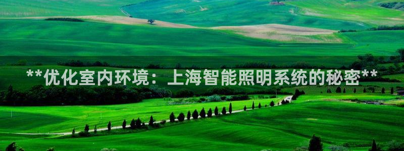 **优化室内环境:上海智能照明系统的秘密**