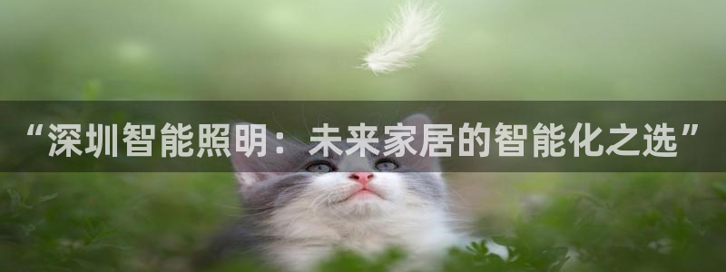“深圳智能照明:未来家居的智能化之选”
