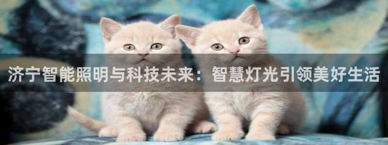 济宁智能照明与科技未来:智慧灯光引领美好生活