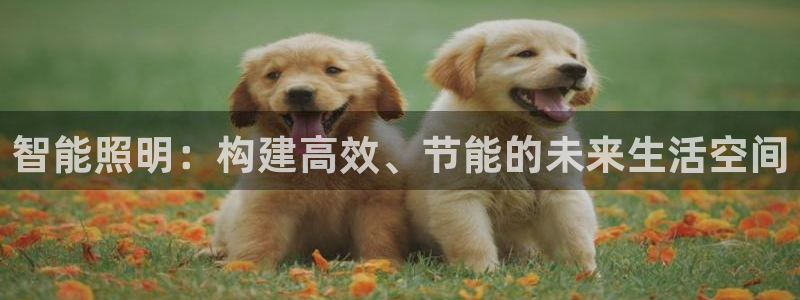 智能照明：构建高效、节能的未来生活空间