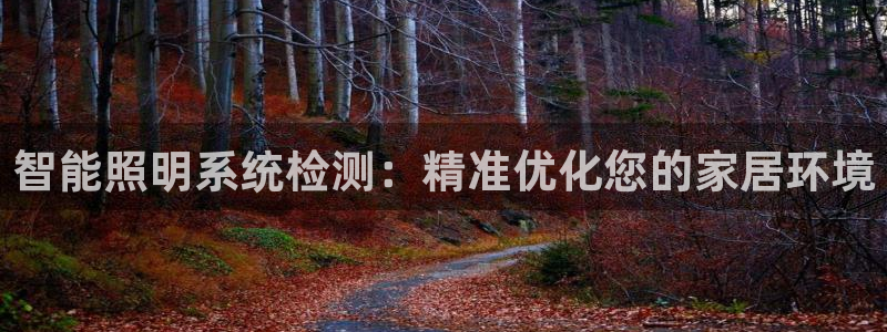 智能照明系统检测：精准优化您的家居环境