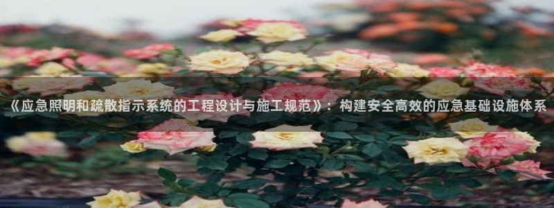 《应急照明和疏散指示系统的工程设计与施工规范》：构建安全高效的应急基础设施体系