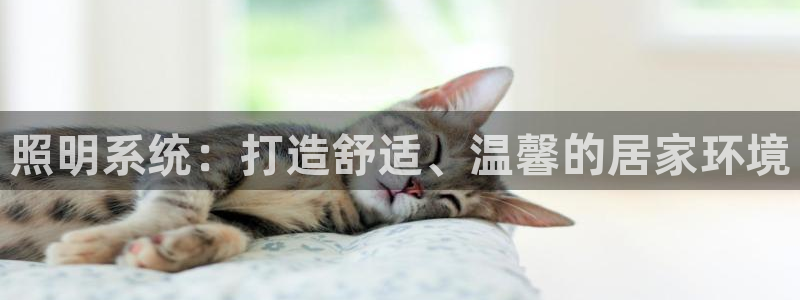 照明系统：打造舒适、温馨的居家环境