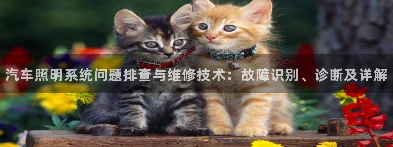汽车照明系统问题排查与维修技术:故障识别、诊断及详解