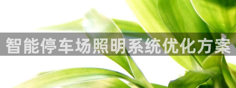 智能停车场照明系统优化方案