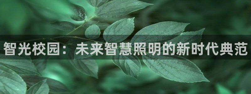 智光校园：未来智慧照明的新时代典范