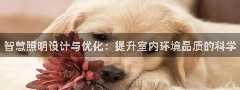 智慧照明设计与优化：提升室内环境品质的科学