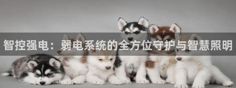 智控强电：弱电系统的全方位守护与智慧照明