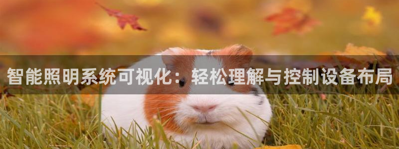 智能照明系统可视化：轻松理解与控制设备布局