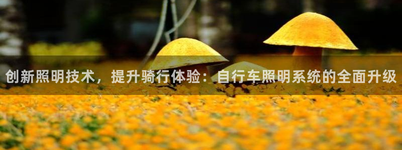 创新照明技术，提升骑行体验：自行车照明系统的全面升级