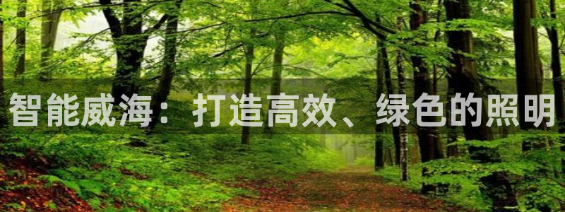 智能威海：打造高效、绿色的照明