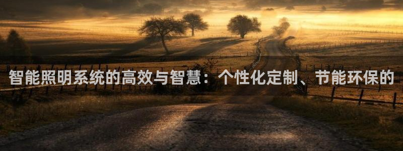 智能照明系统的高效与智慧：个性化定制、节能环保的