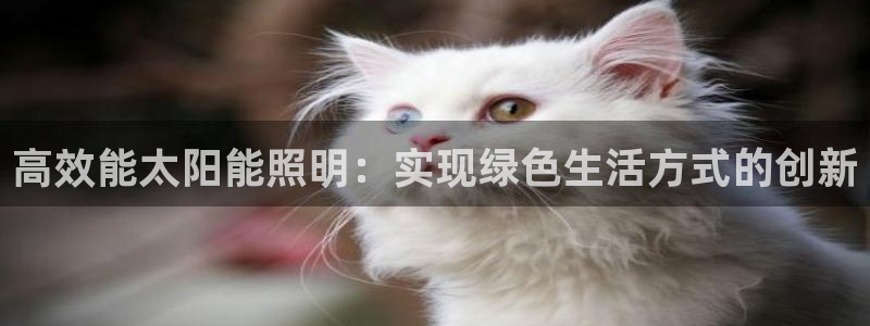 高效能太阳能照明:实现绿色生活方式的创新