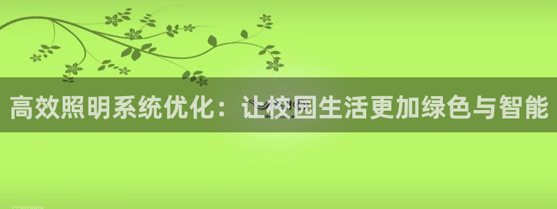 高效照明系统优化：让校园生活更加绿色与智能