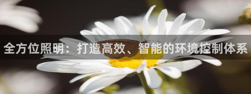 全方位照明：打造高效、智能的环境控制体系