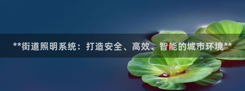 **街道照明系统:打造安全、高效、智能的城市环境**