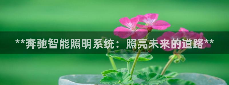 **奔驰智能照明系统：照亮未来的道路**